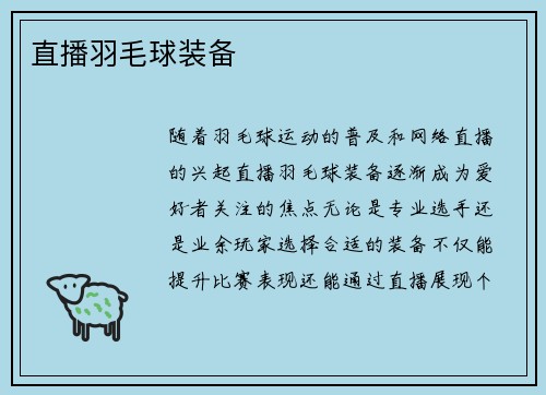 直播羽毛球装备