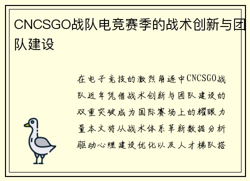 CNCSGO战队电竞赛季的战术创新与团队建设